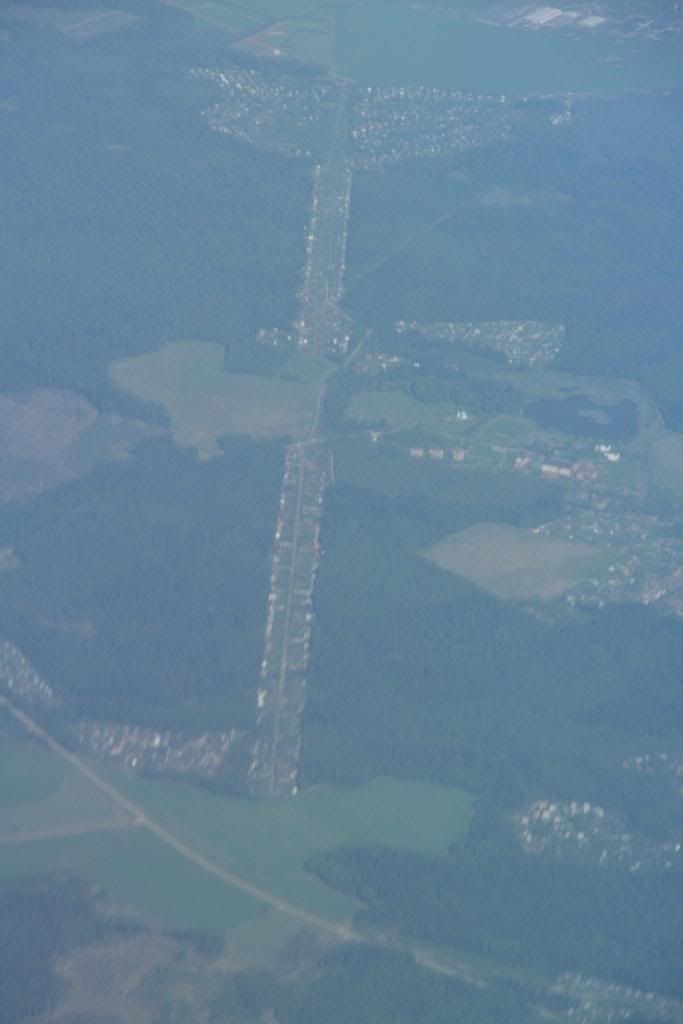 mosca50.jpg