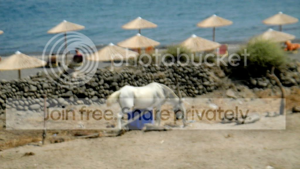 3d579563.jpg