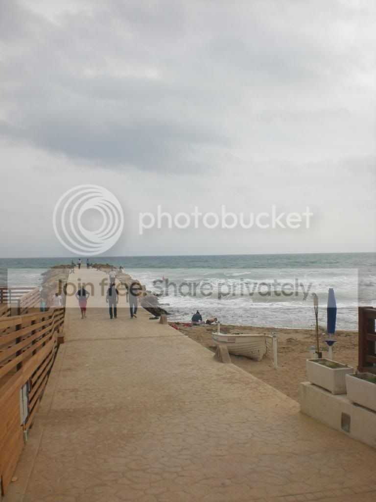 resized_Trapani302.jpg