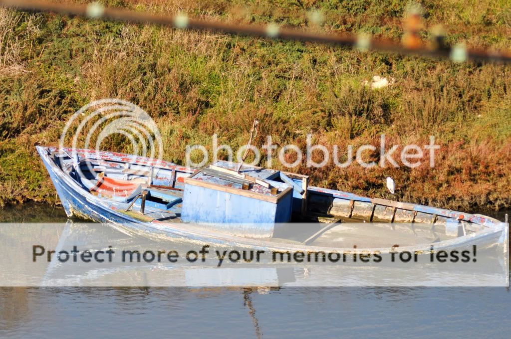DSC_0377.jpg