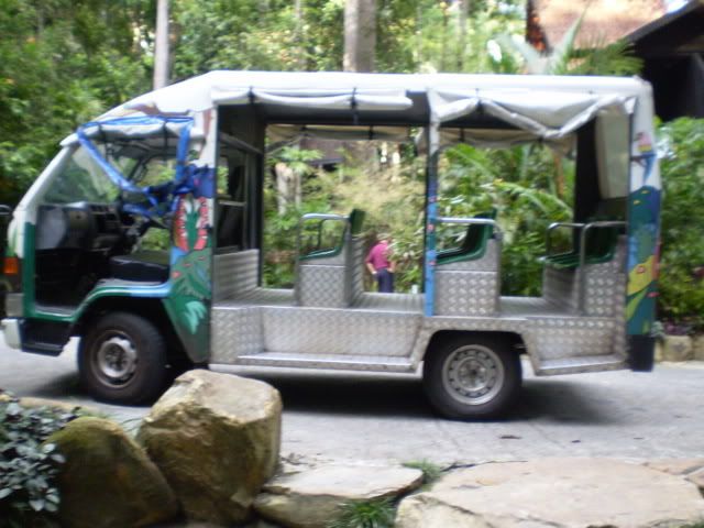 Immagine208.jpg