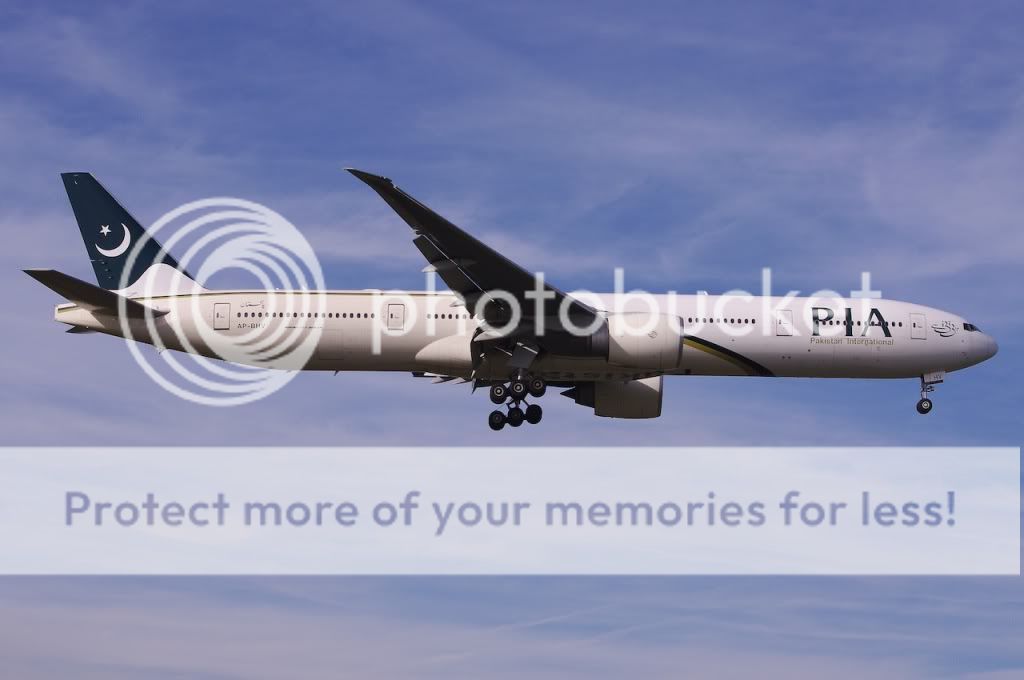 IMGP1525.jpg