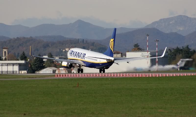 IMG_7471.jpg