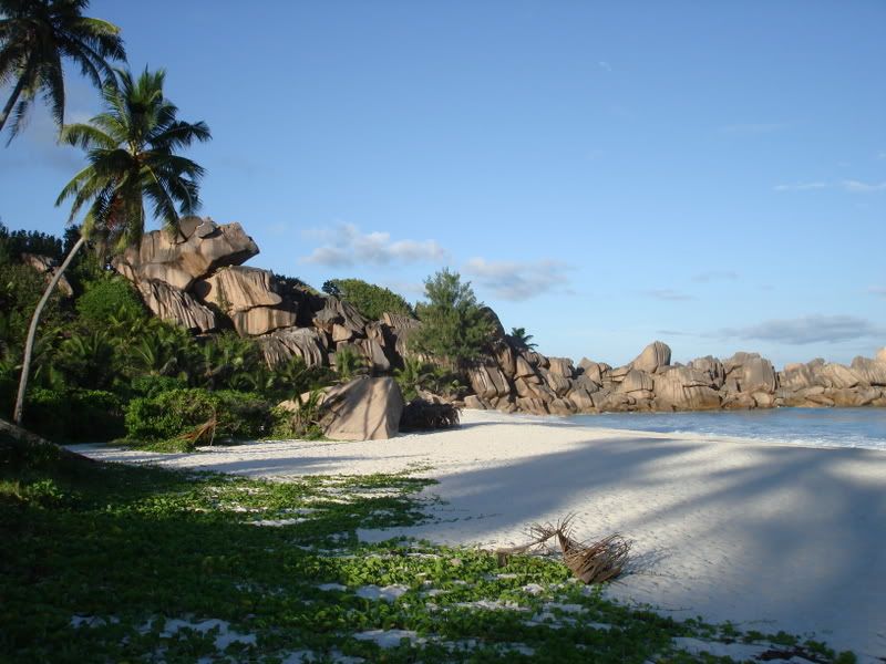 DSC00783.jpg