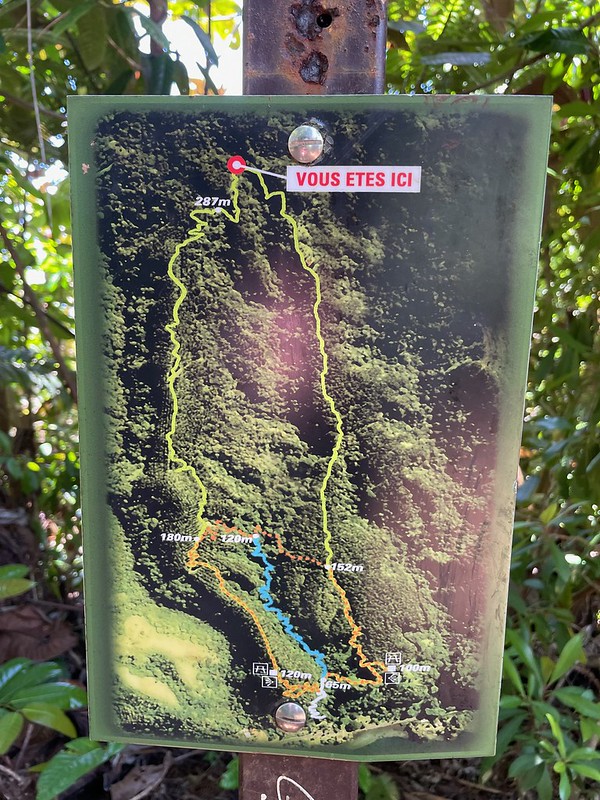 54344735967_cd10983389_c.jpg