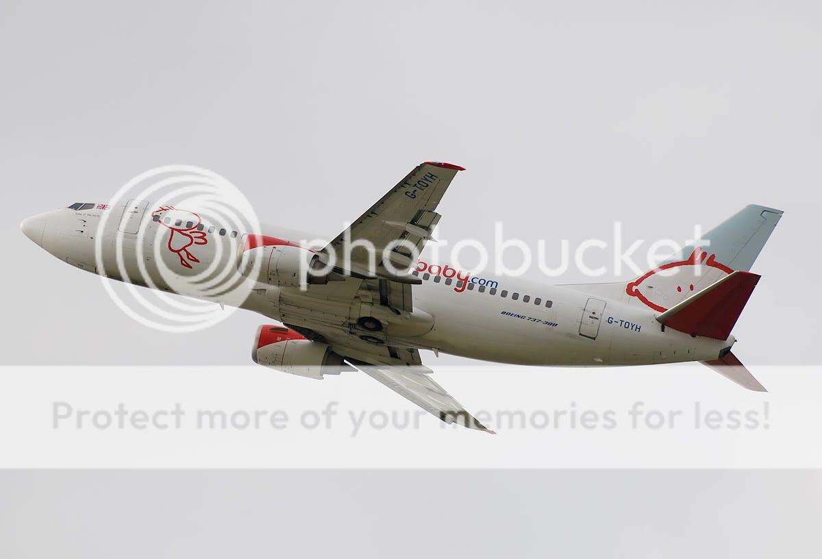 G-TOYH.jpg