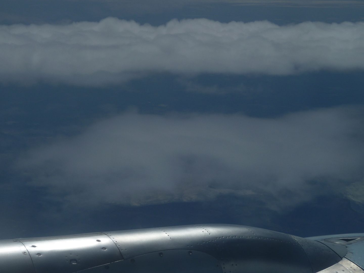 P1020349.jpg