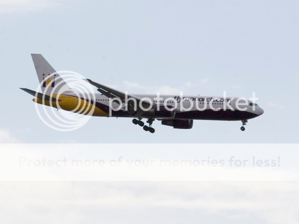 757300monarch.jpg