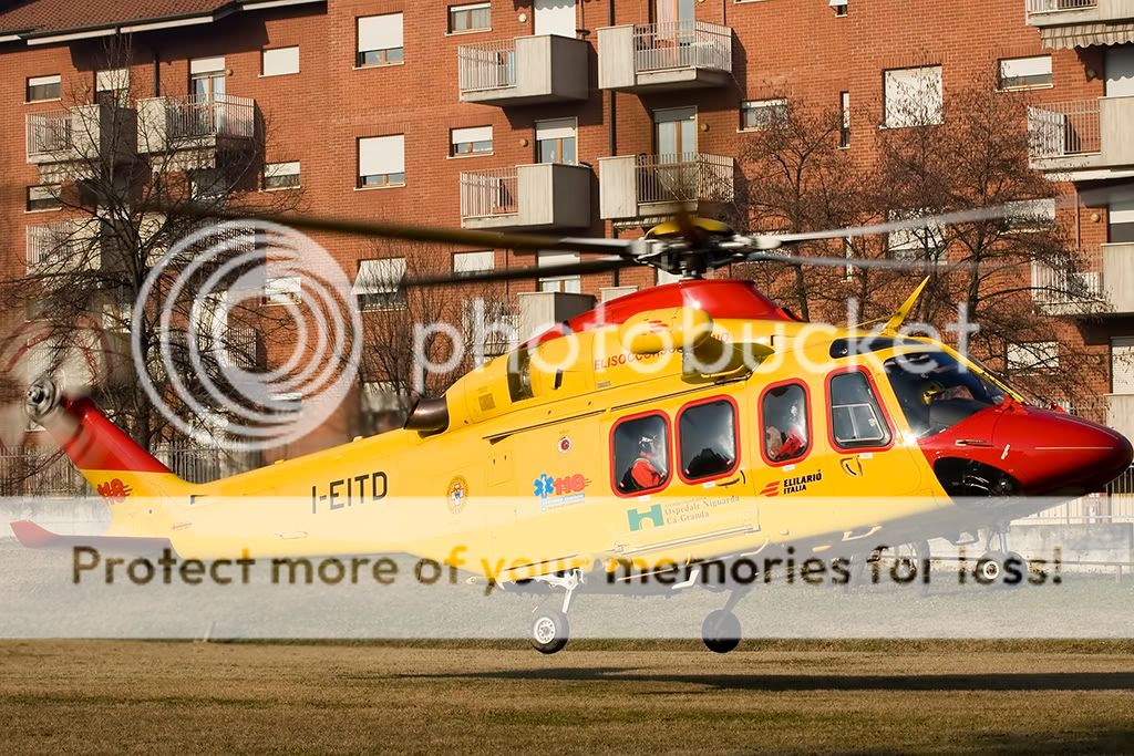 DSC_8123.jpg