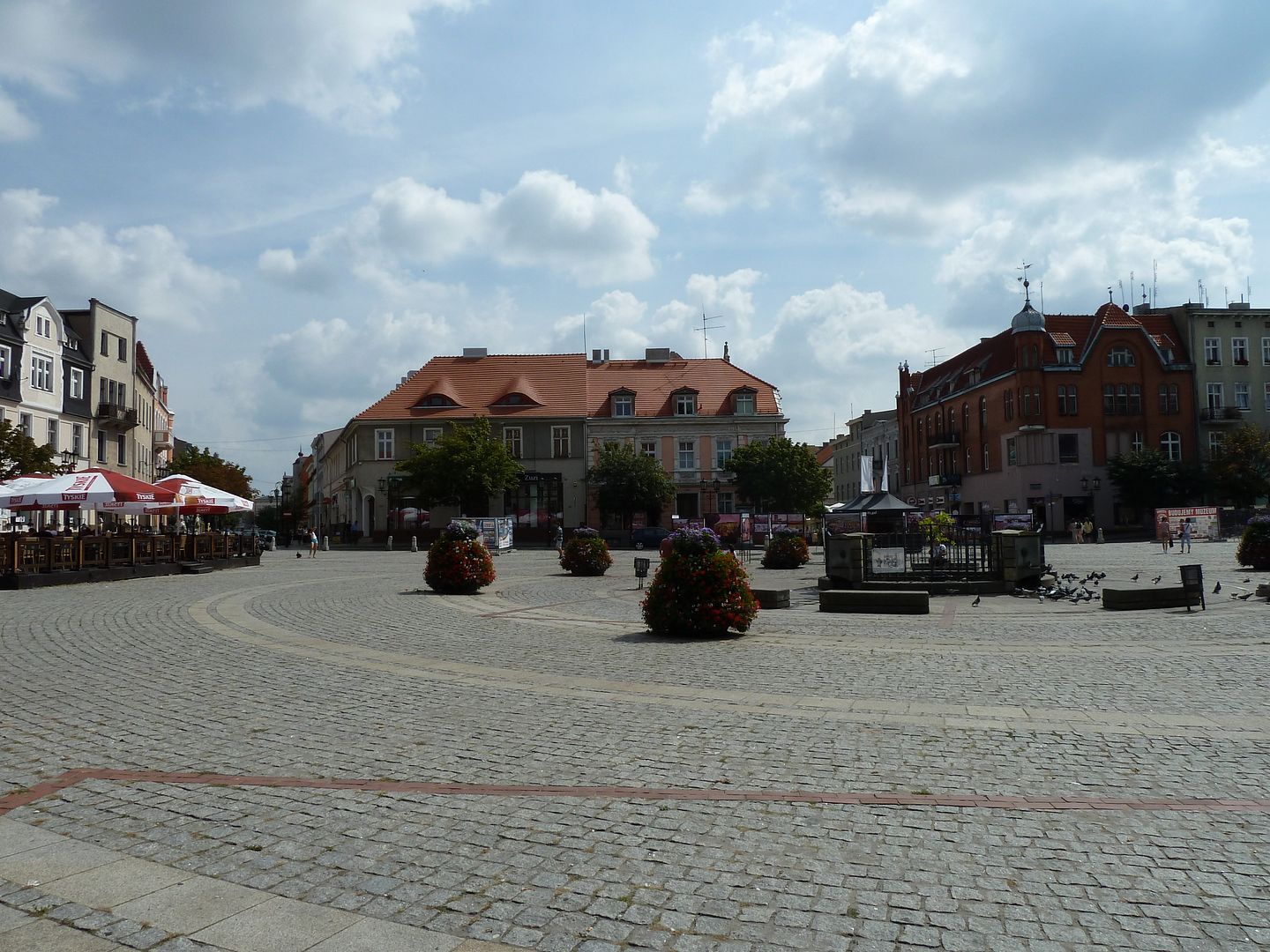 P1030434.jpg