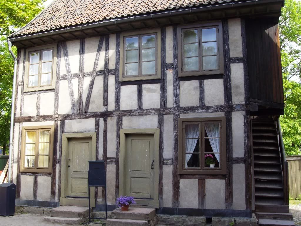 IMGP2876.jpg