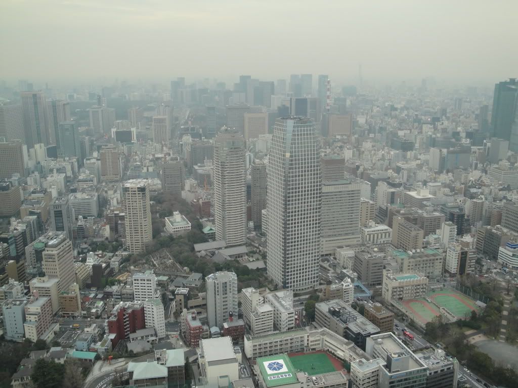 DSC01784.jpg