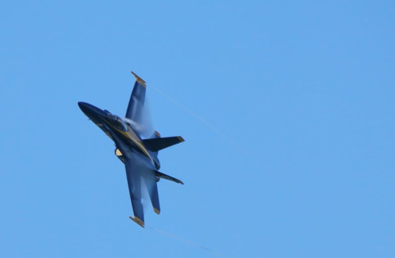IMG_6812.jpg
