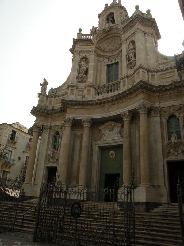 DSCN8265.jpg