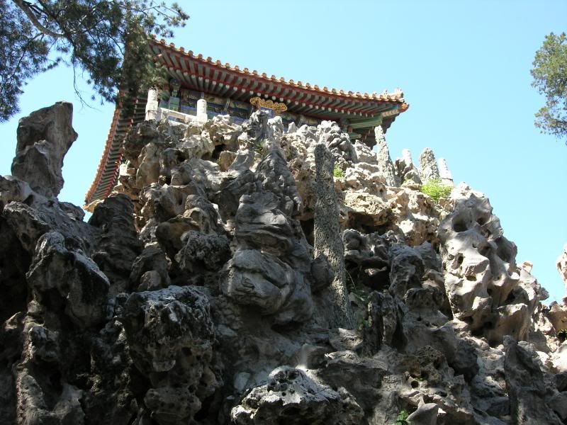 DSCN2397.jpg