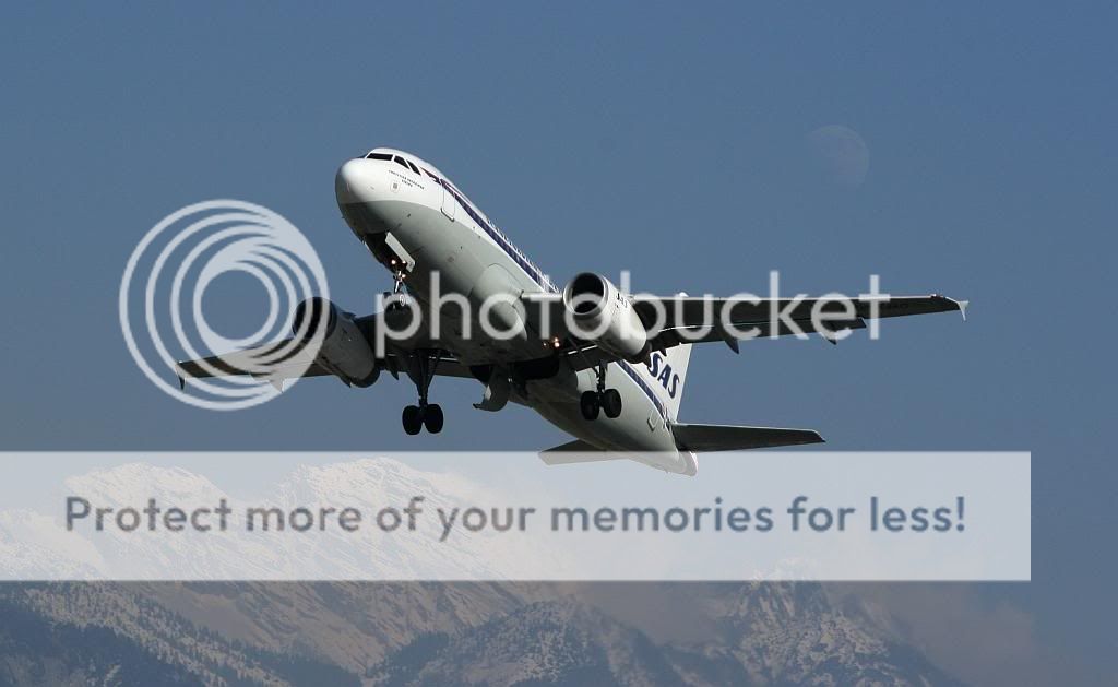 IMG_3145.jpg
