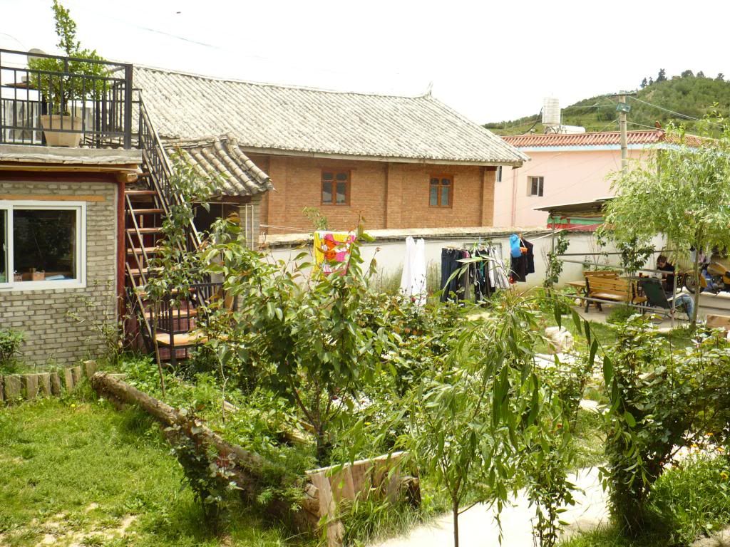 P1010179.jpg