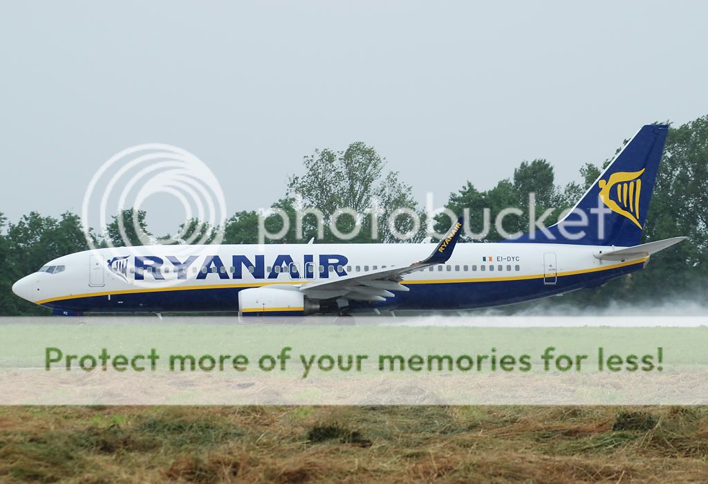 DSC_0079.jpg