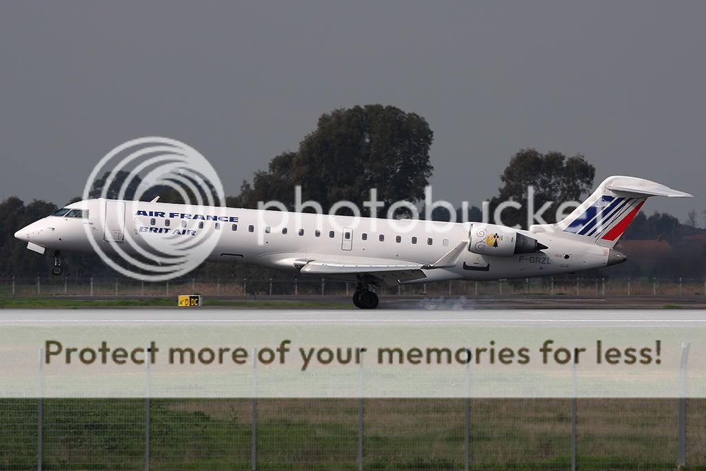 013_F_GRZL__ac.jpg