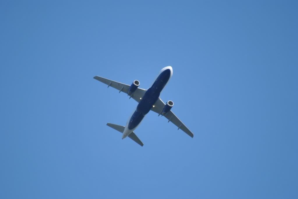 DSC_0218.jpg