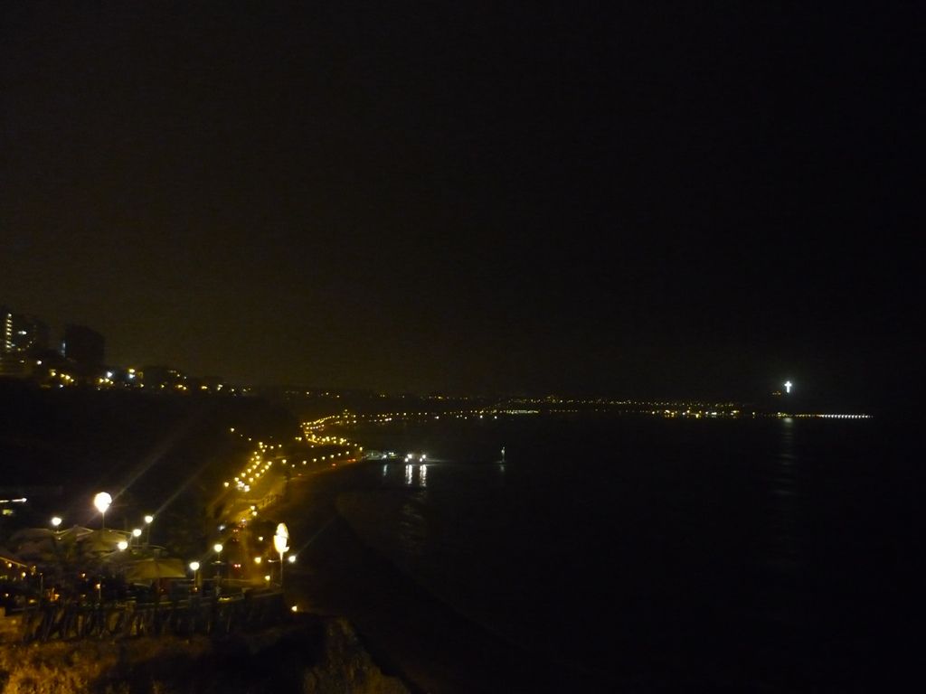 P1010508.jpg