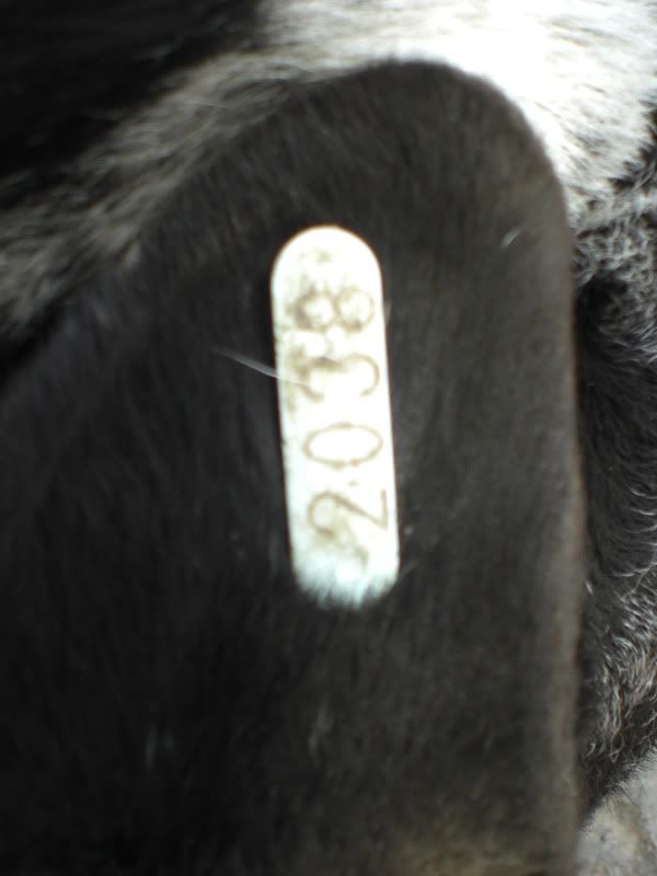 CIMG8380.jpg