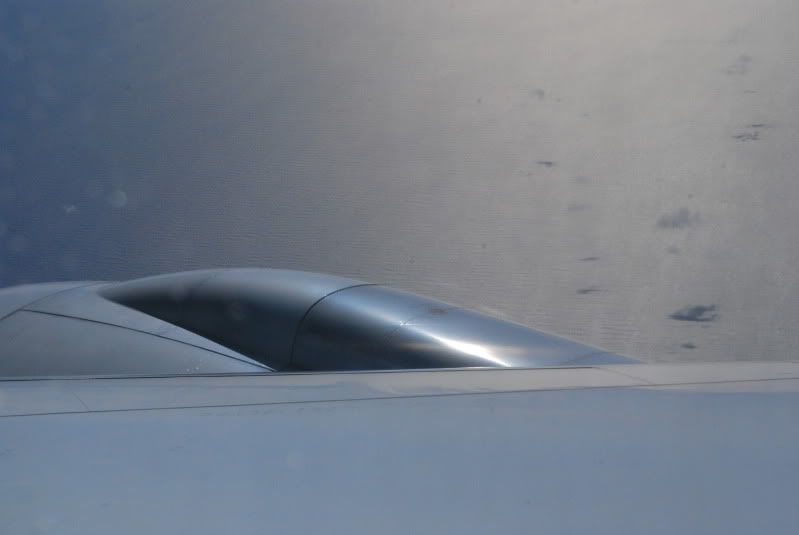 DSC_7182.jpg