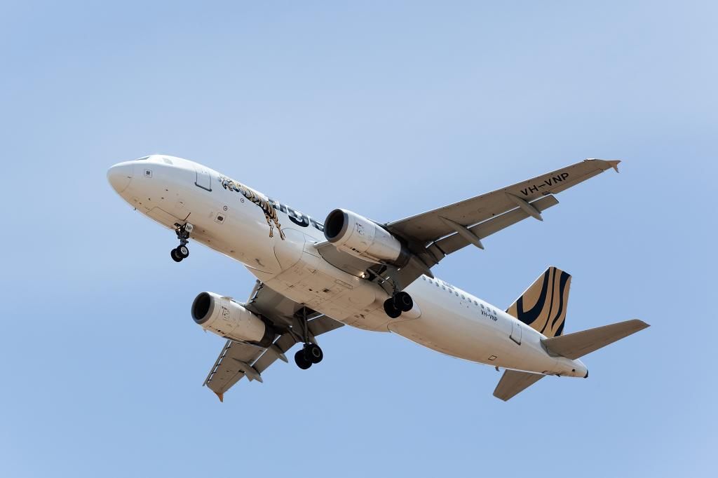 TIGERVH-VNP320-232_zpsbfe370f3.jpg