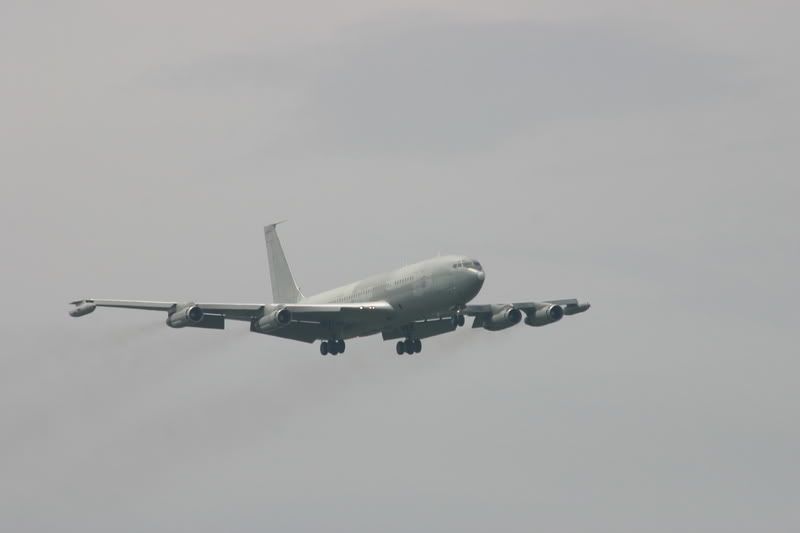 IMG_5369.jpg