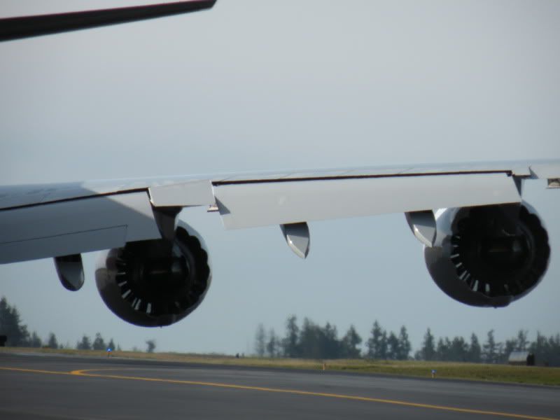 DSCN7735.jpg