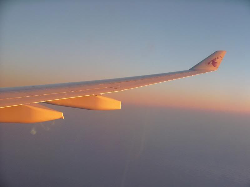 P1000236.jpg