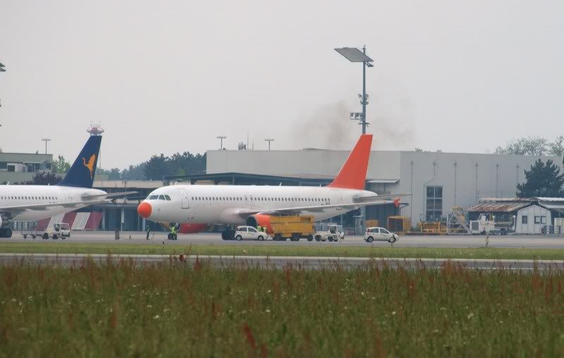 EI-ELGwithsmoke.jpg