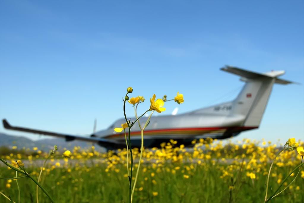 DSC_4990a.jpg