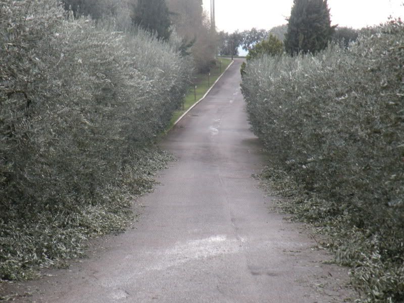 DSCN4551.jpg