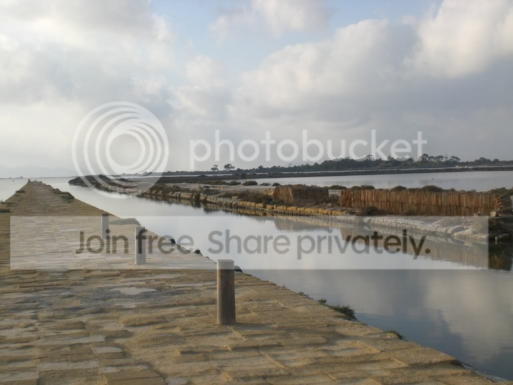 resized_Trapani316.jpg