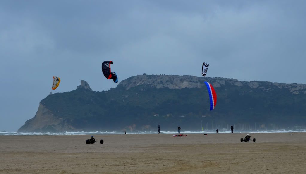 DSC_3497-1.jpg