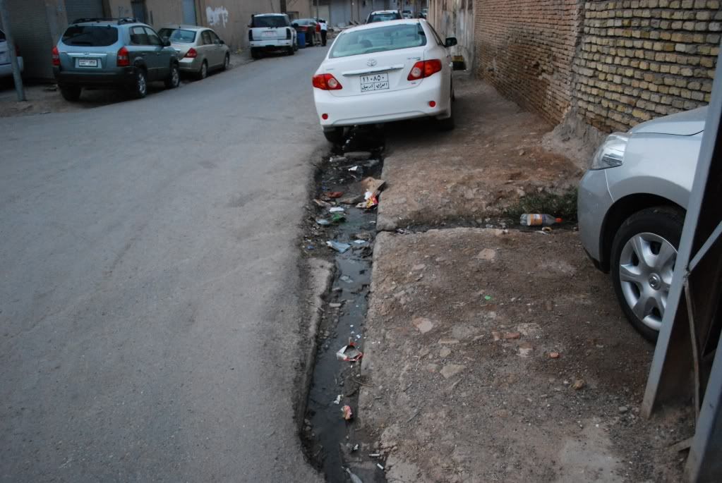 1160.jpg