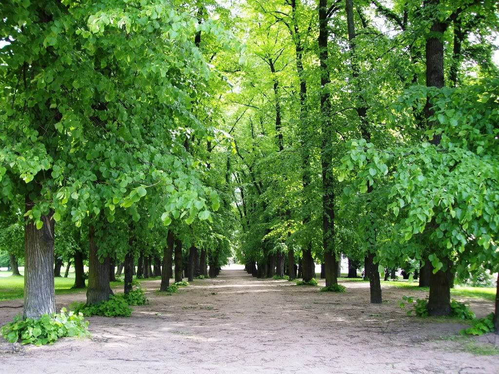 IMGP2770.jpg