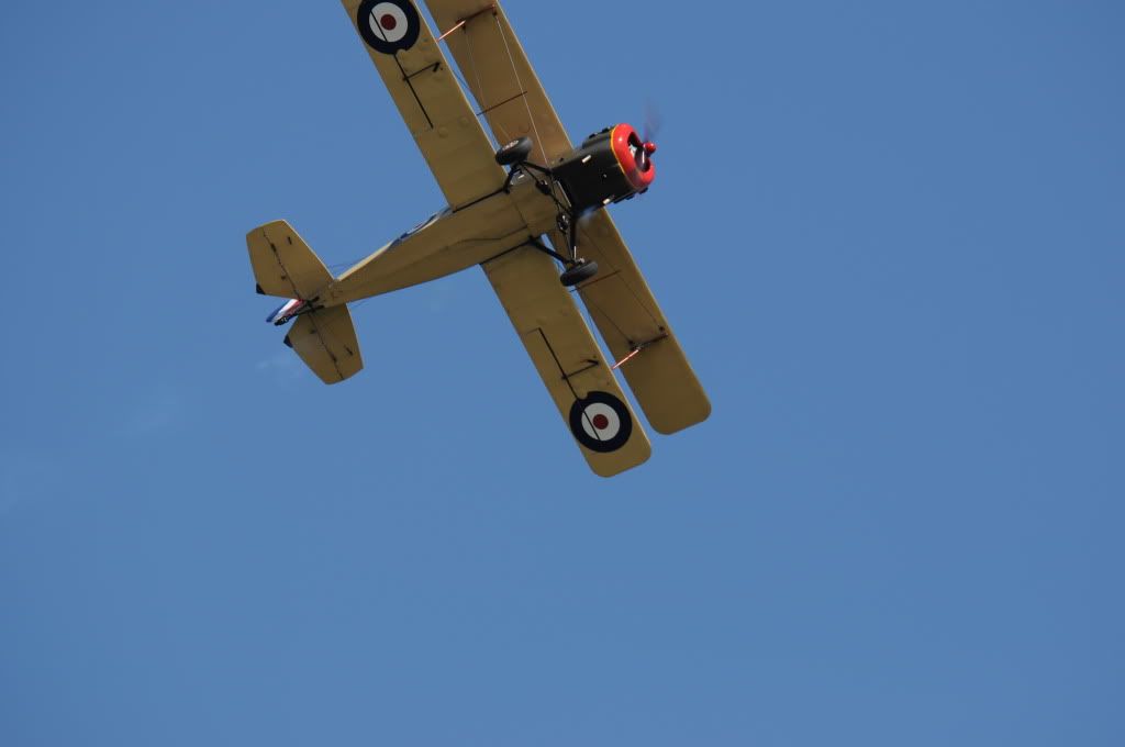 DSC_0255.jpg