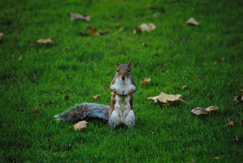 DSC_0823.jpg
