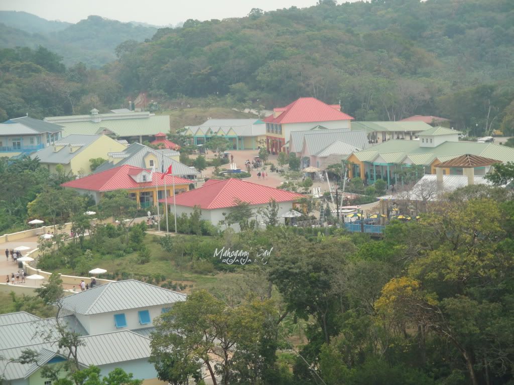 DSC05696.jpg