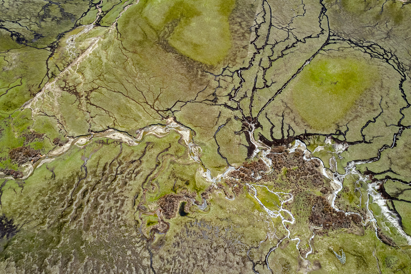 54330611975_8d18786f0f_o.jpg