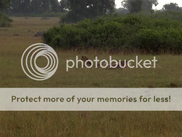 CIMG2856.jpg