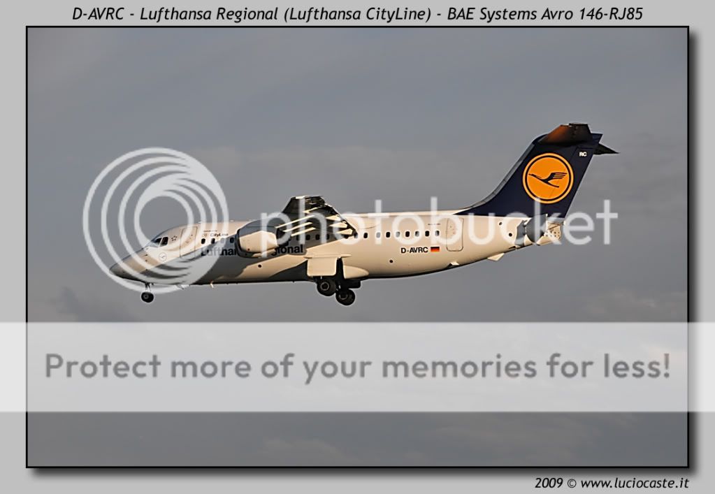 D-AVRC1.jpg