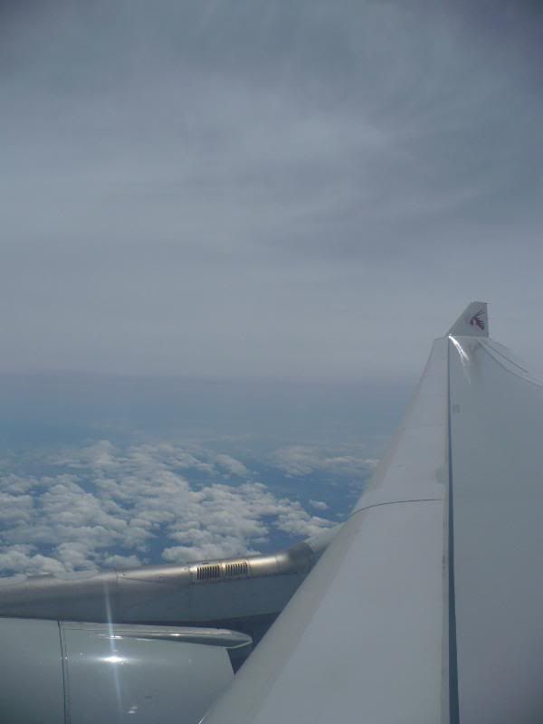 P1000304.jpg