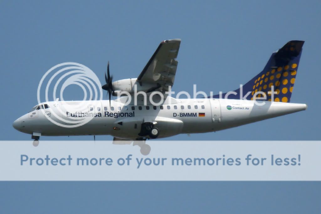 D-BMMM.jpg