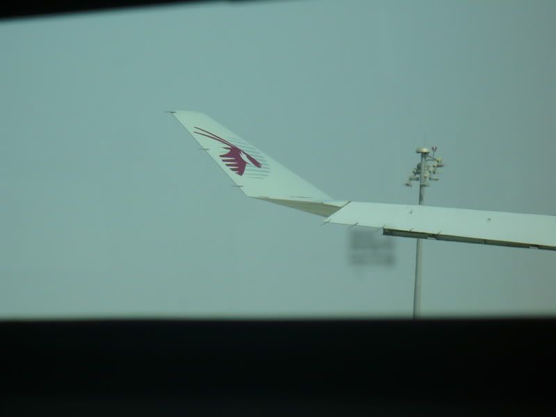 P1020156.jpg