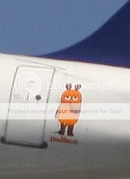 IMG_7197_DET.jpg