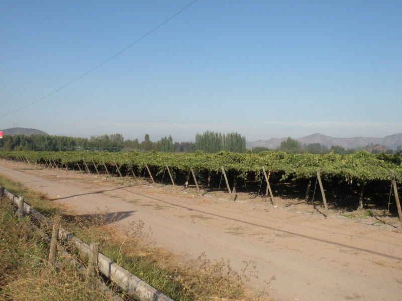 DSCN0750.jpg