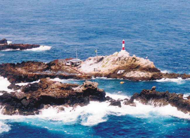 Motoki_Aspsp_br_Fig02B_c_ScientificStation.jpg